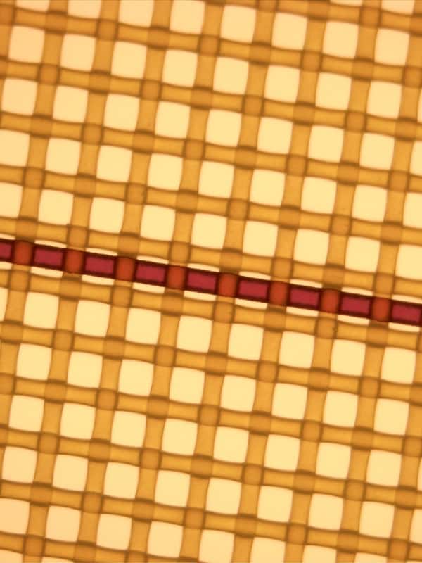 CtS direct exposing exposure on coated screen mesh CtS direct exposing exposure on coated screen mesh